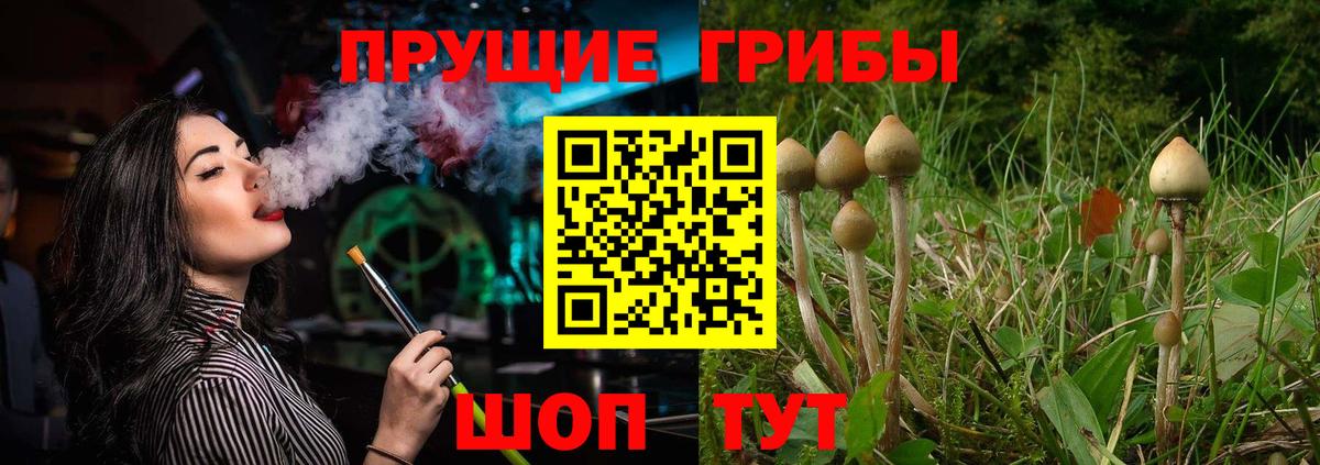 Псилоцибиновые грибы Magic Shrooms Добрянка